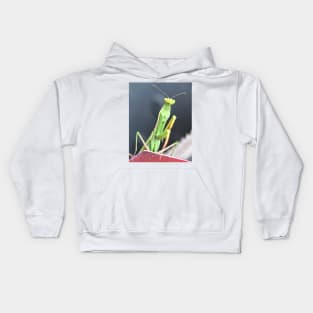 Praying Mantis Macro Photo Kids Hoodie